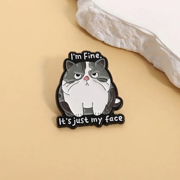 Jewelry - 2$ Add On⭐ I'm Fine It's Just My Face Cat Pin